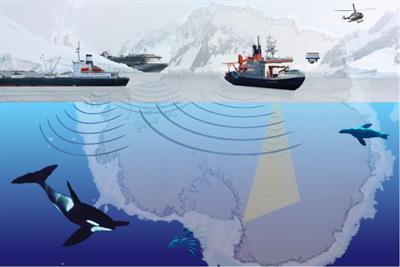 Managing the Effects of Noise From Ship Traffic, Seismic Surveying and Construction on Marine Mammals in Antarctica